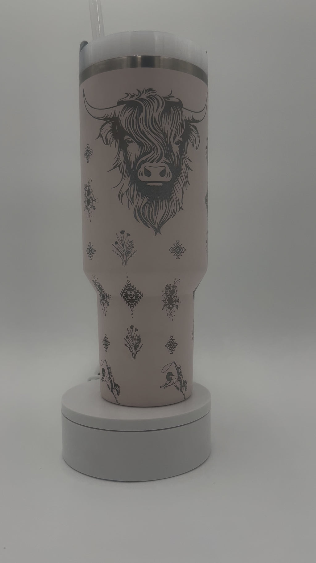 Western Highland Cow Stanley