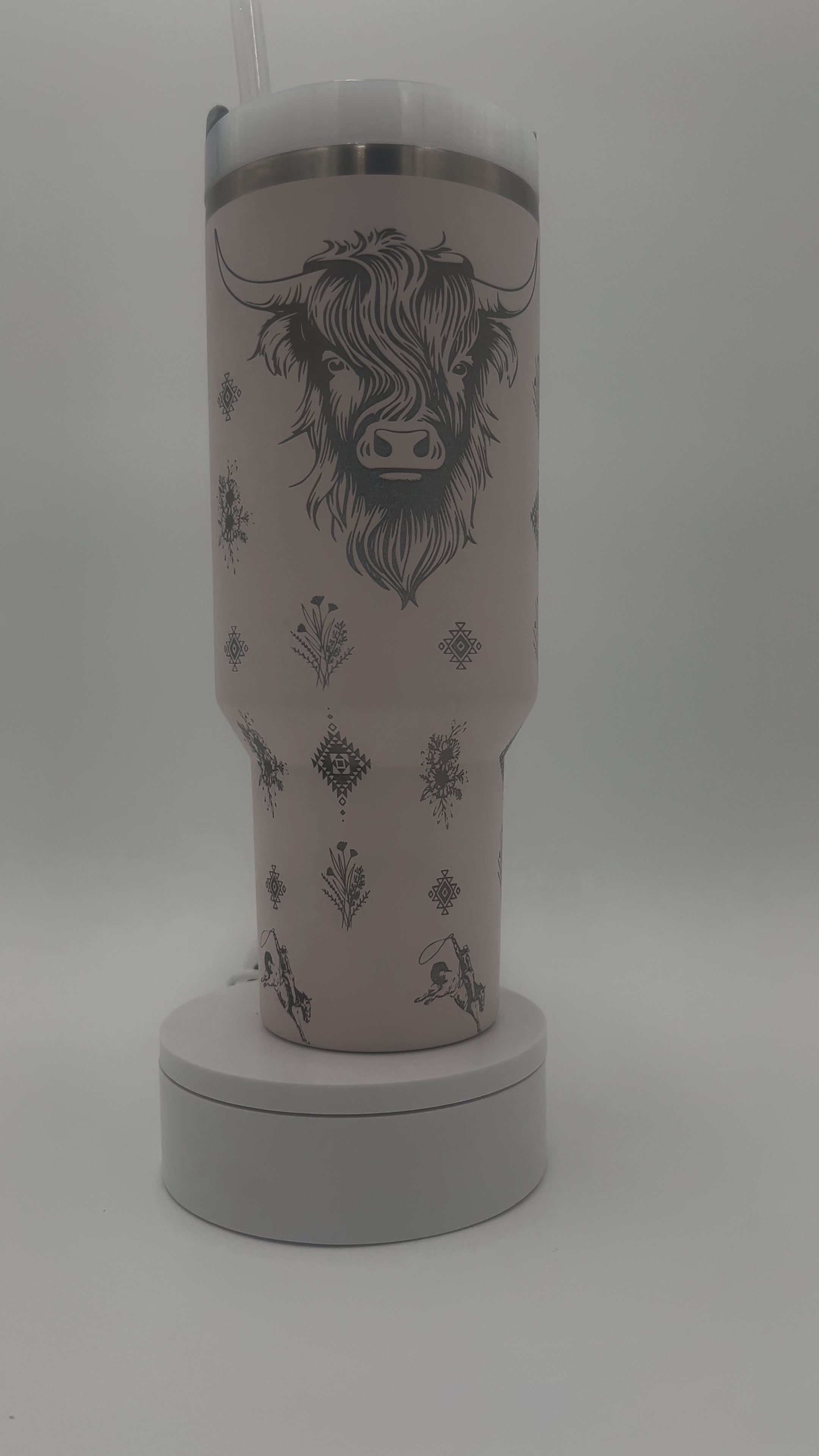 Western Highland Cow Stanley