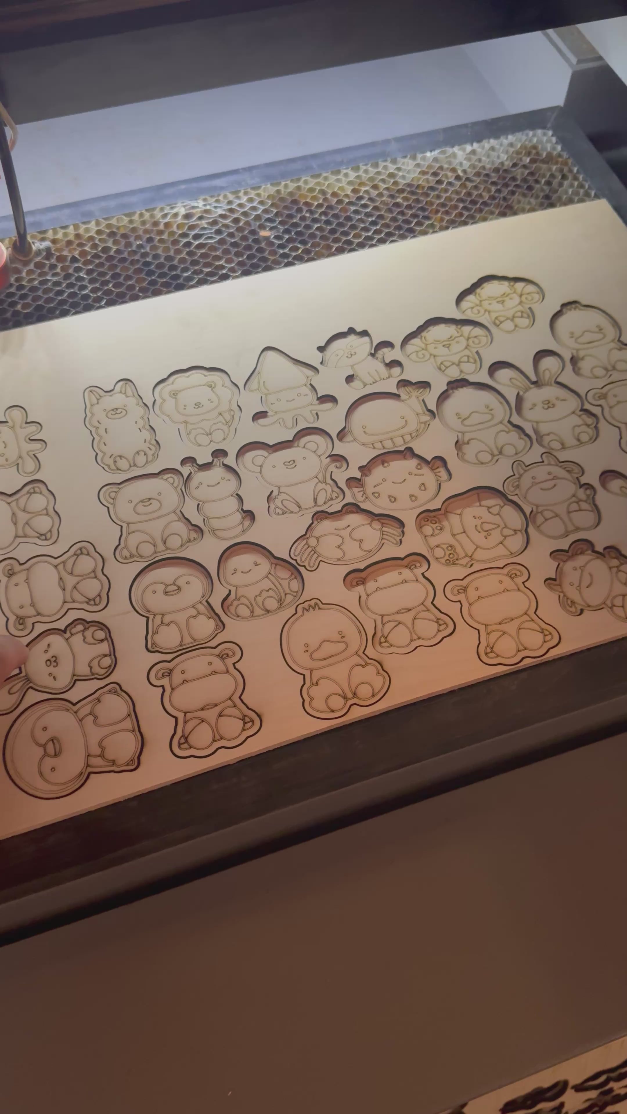 POCKET PALS